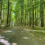 Wellenreiter - Villa Ambienta